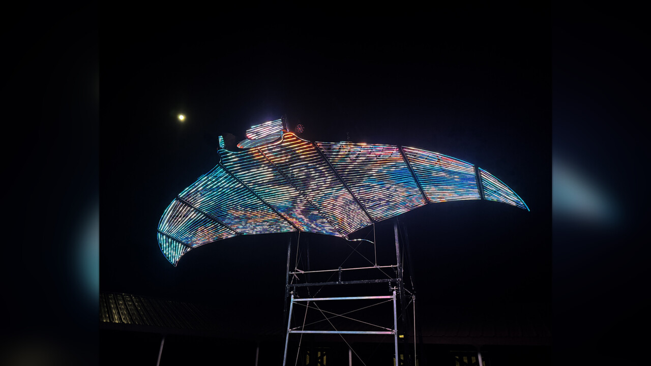 Hahalua — Immersive LED Manta Ray project artwork